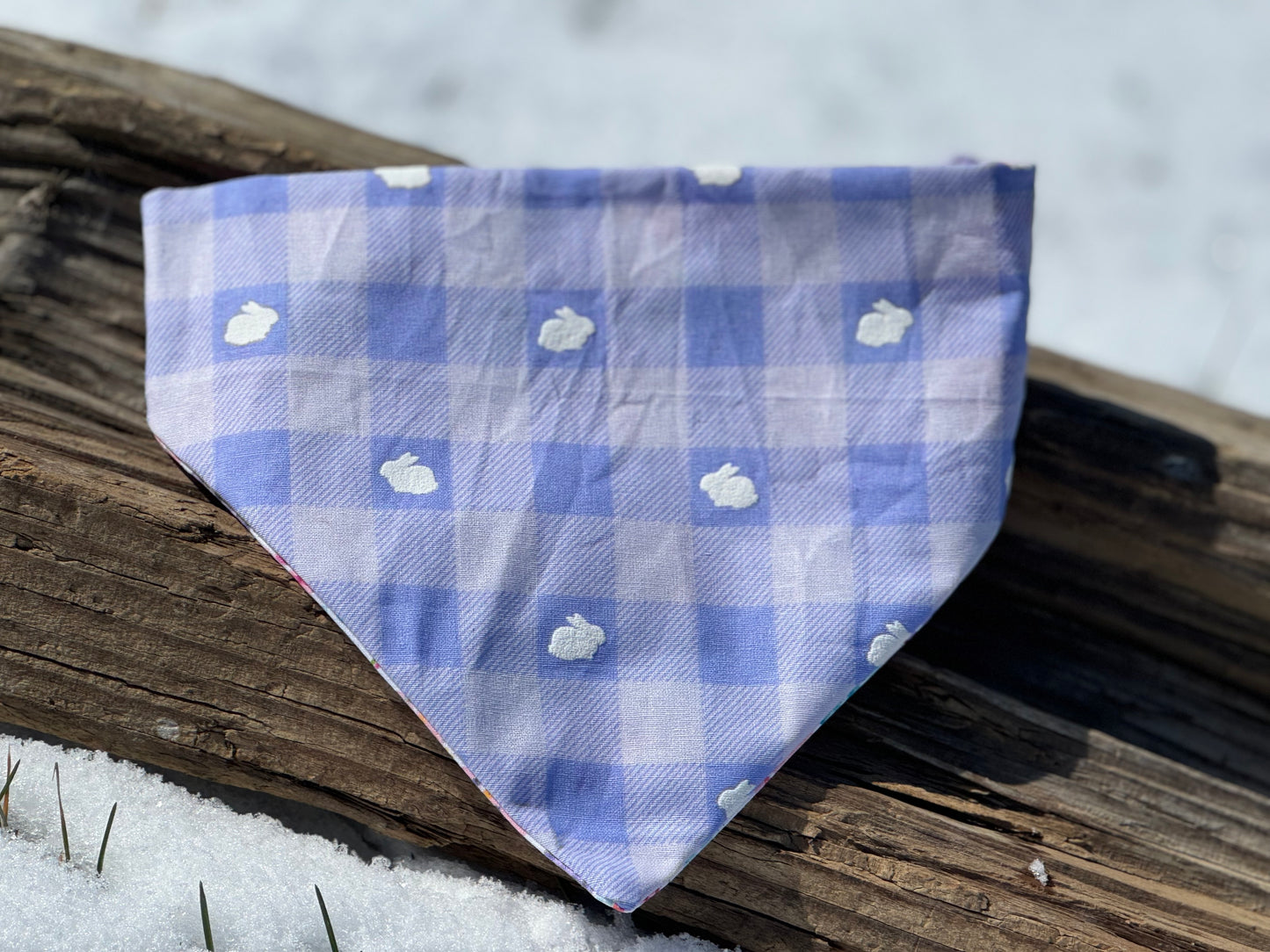 Paws and Bunnies Bandana