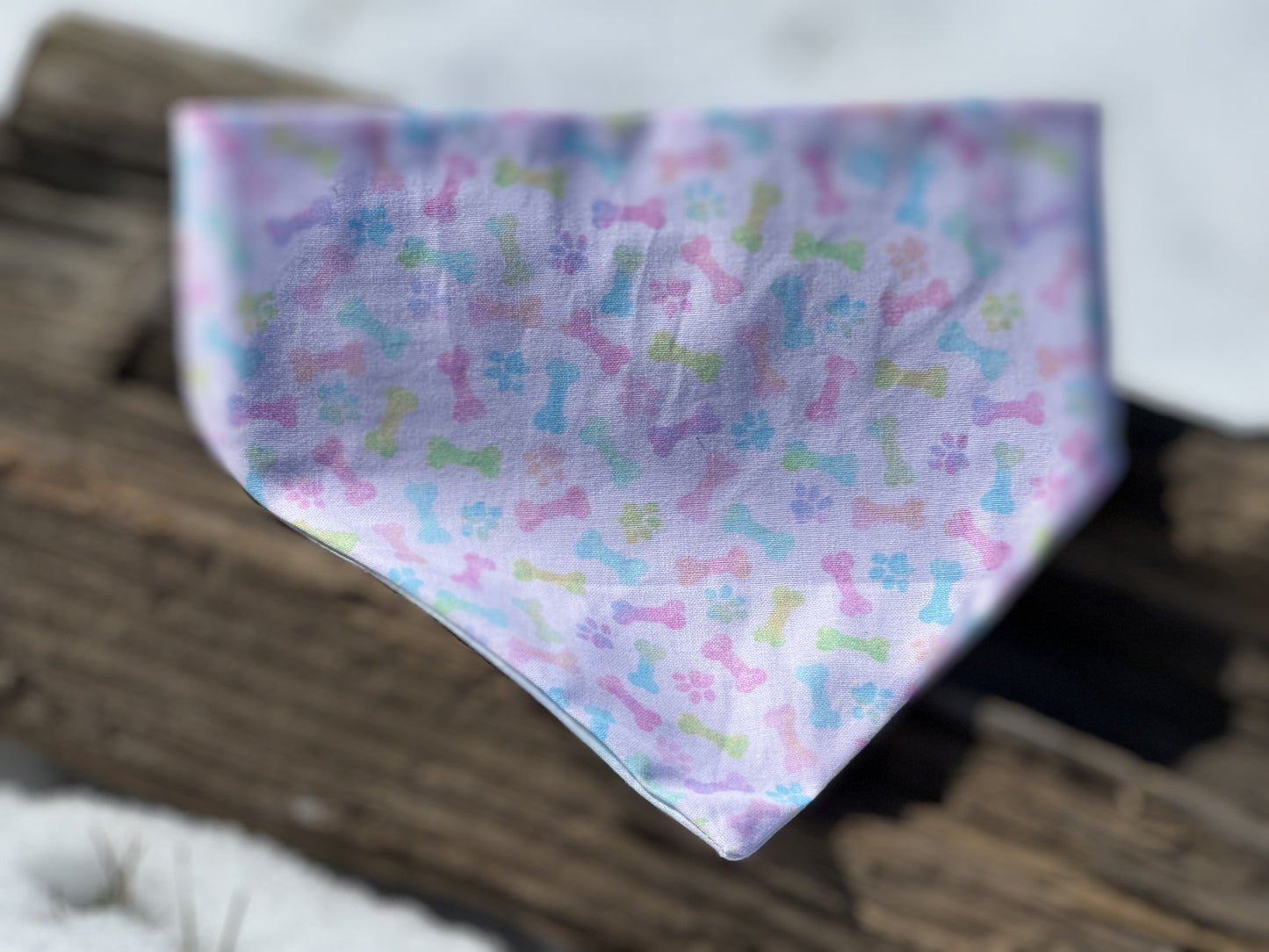 Madras and Bones Bandana